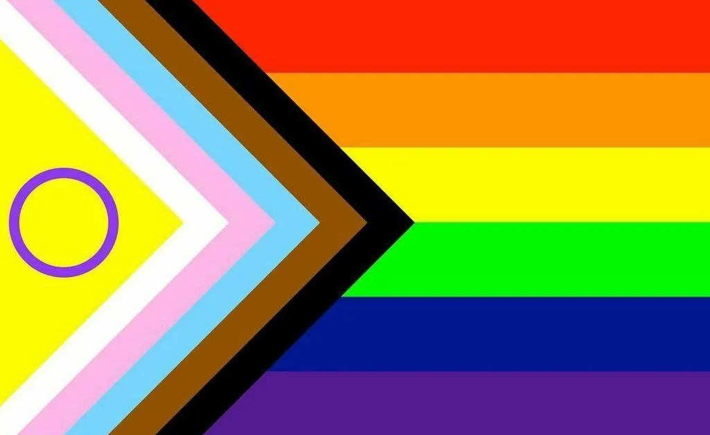 lgbtqia+ flag